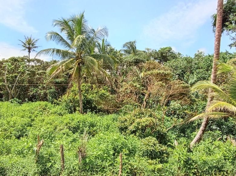 Colon – Frente a Playa: Costa Abajo, Terreno de 17 Hectáreas
