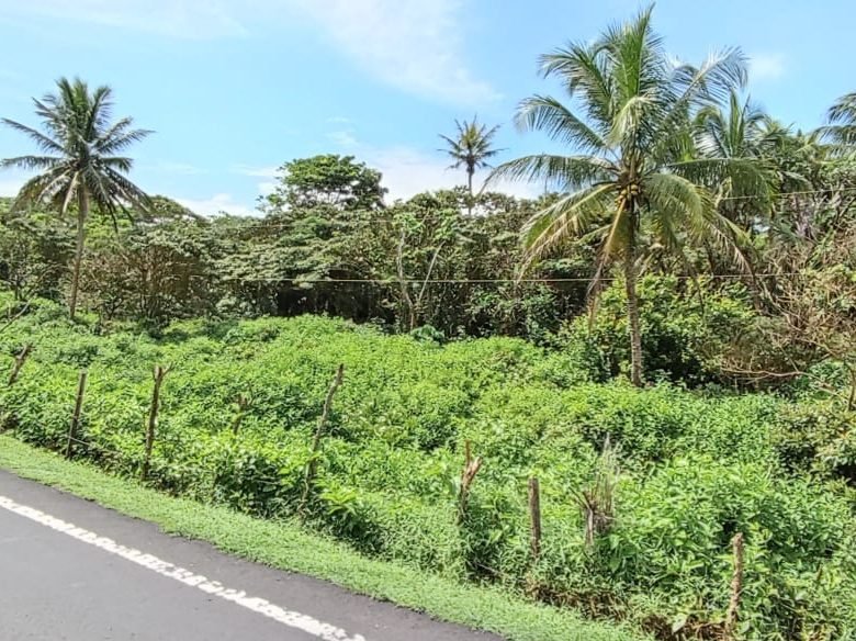 Colon – Frente a Playa: Costa Abajo, Terreno de 17 Hectáreas