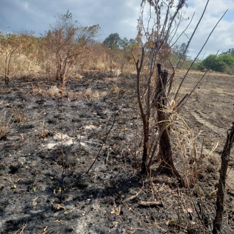 Bejuco – Chame: Cerca Via Panamericana, Terreno de 3.6 Ha, Plano