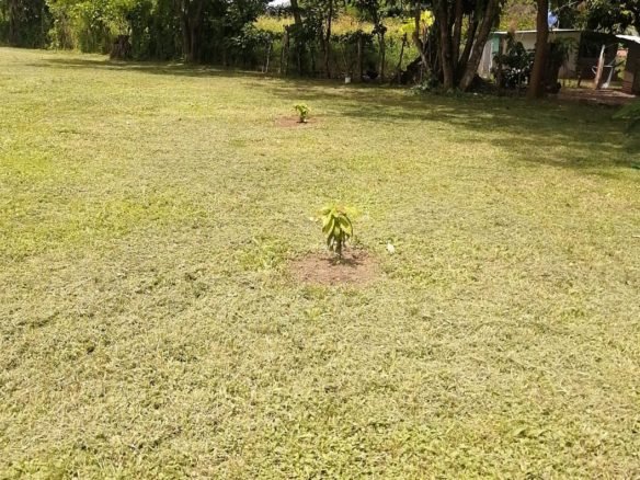 Bejuco – Chame: Cerca Via Panamericana, Terreno de 3.6 Ha, Plano