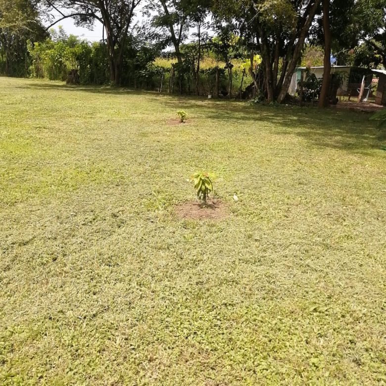 Bejuco – Chame: Cerca Via Panamericana, Terreno de 3.6 Ha, Plano