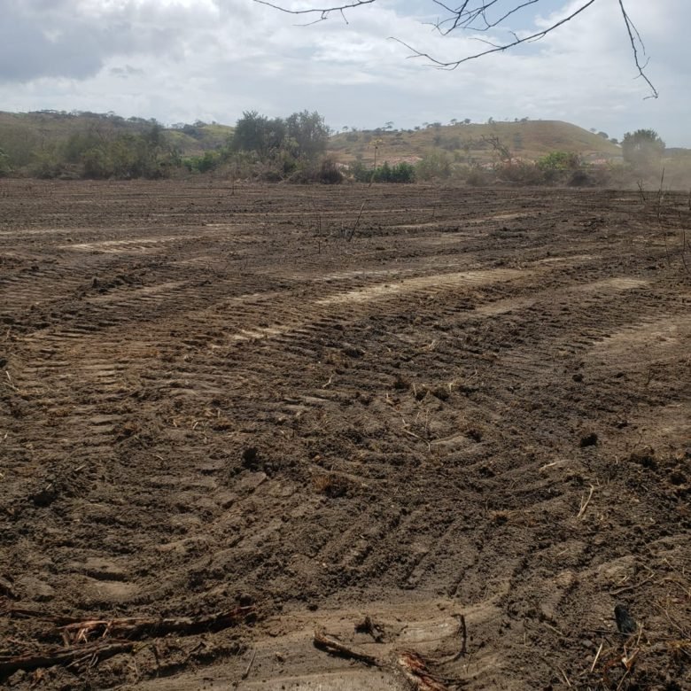 Bejuco – Chame: Cerca Via Panamericana, Terreno de 3.6 Ha, Plano