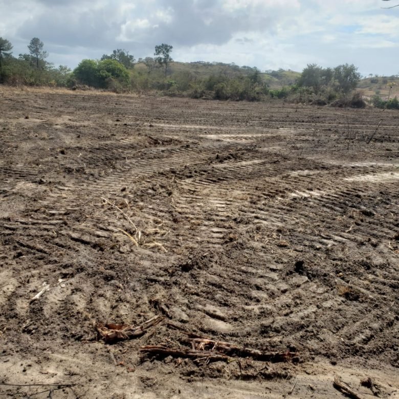 Bejuco – Chame: Cerca Via Panamericana, Terreno de 3.6 Ha, Plano