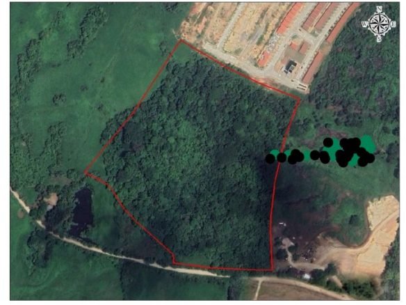 Pacora – Terreno Plano: Colindante con Urbanización