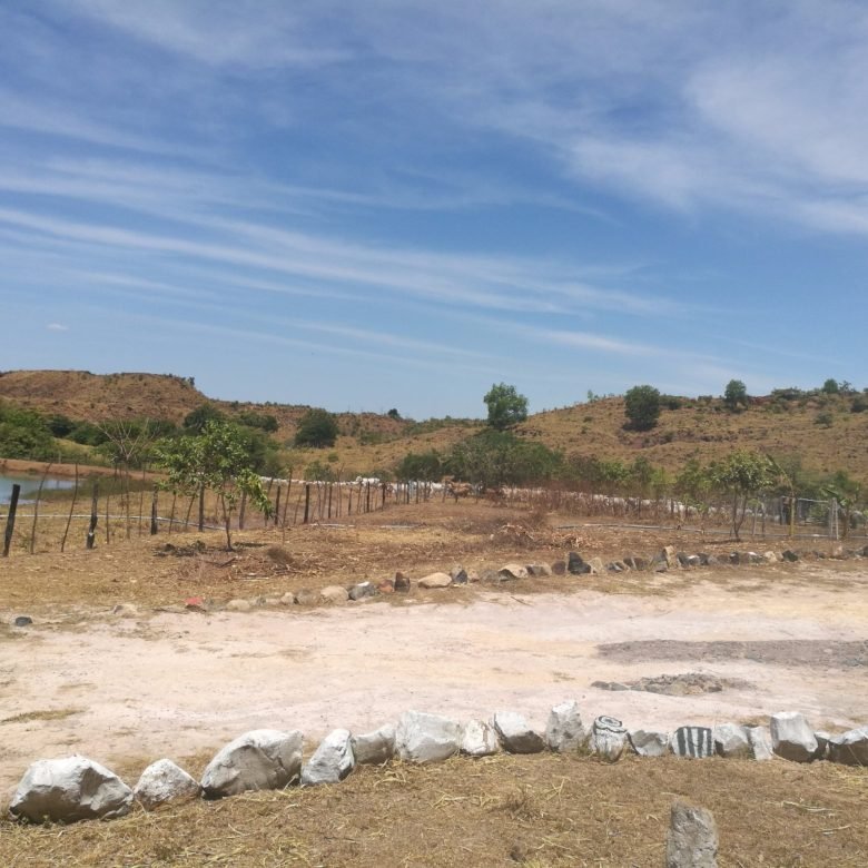 Veraguas: Finca de 38 hectáreas, con lago artificial y agua viva