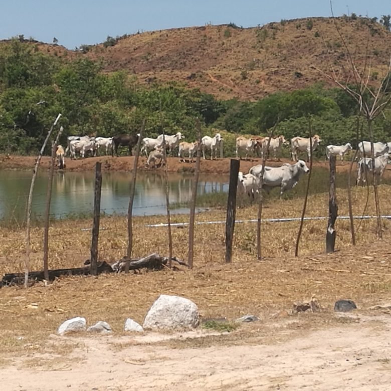 Veraguas: Finca de 38 hectáreas, con lago artificial y agua viva