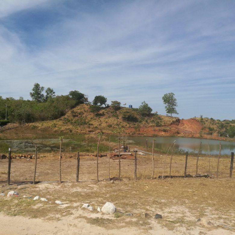 Veraguas: Finca de 38 hectáreas, con lago artificial y agua viva