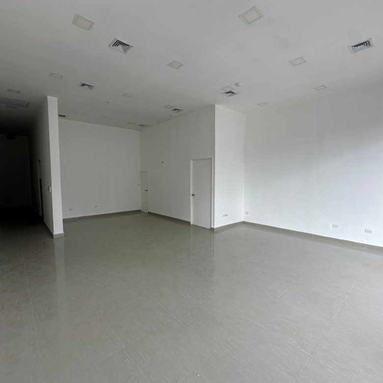 Calle 50: Local Comercial de Planta Baja, con Terraza