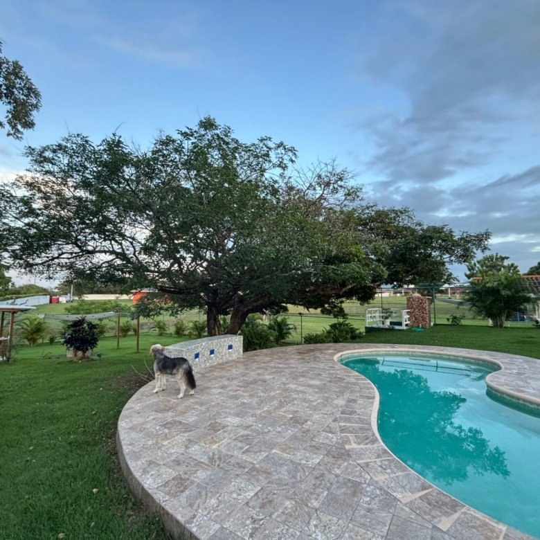 Casa de Campo con Piscina y Jacuzzi: Amplio terreno con BBQ