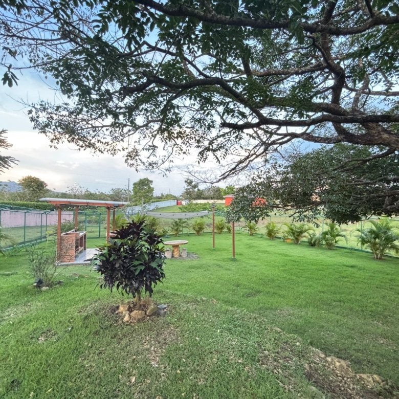 Casa de Campo con Piscina y Jacuzzi: Amplio terreno con BBQ