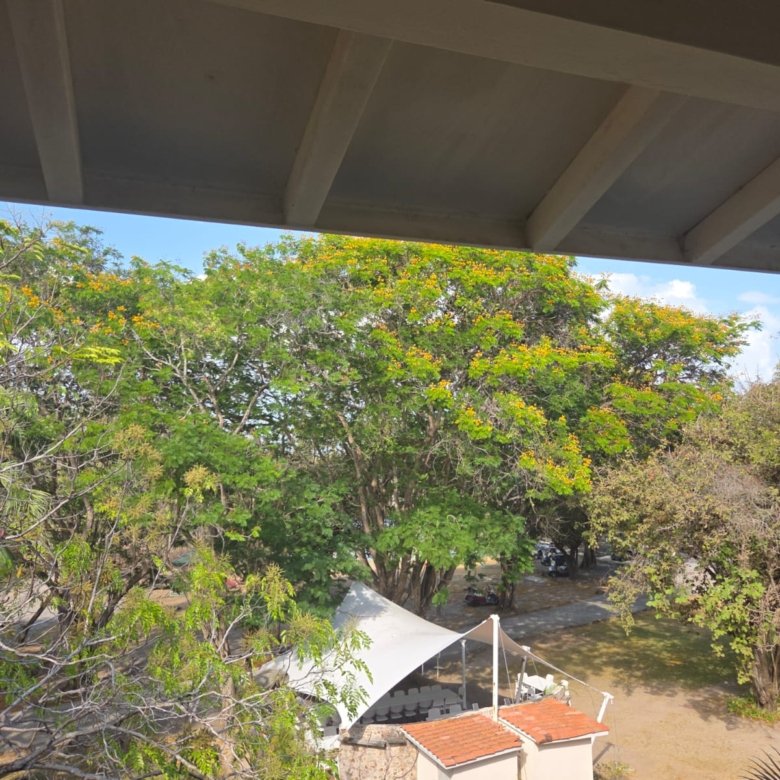 Playa Coronado: Con uso del Campo de Golf – Loft de 2 niveles, 90.52m2