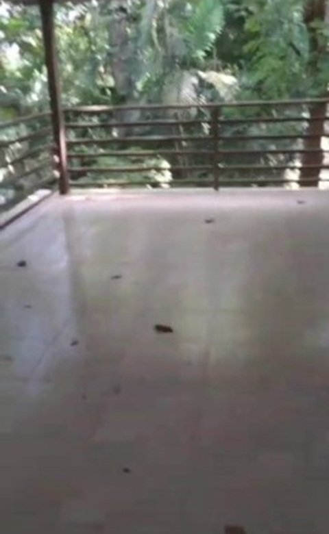 En La Falda del Cerro Ancon, con Seguridad 24/7: Casa Adosada, 3 Niveles, Bosque