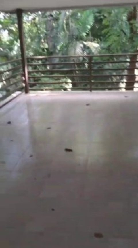 En La Falda del Cerro Ancon, con Seguridad 24/7: Casa Adosada, 3 Niveles, Bosque