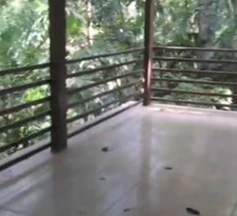 En La Falda del Cerro Ancon, con Seguridad 24/7: Casa Adosada, 3 Niveles, Bosque