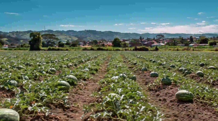 Veraguas, San Francisco: Terreno apto para Cultivo, Ganadería, Desarrollo